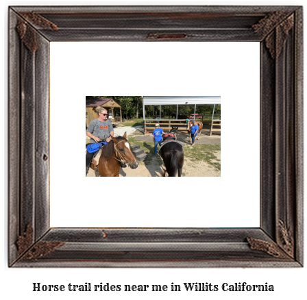 horse trail rides near me in Willits, California